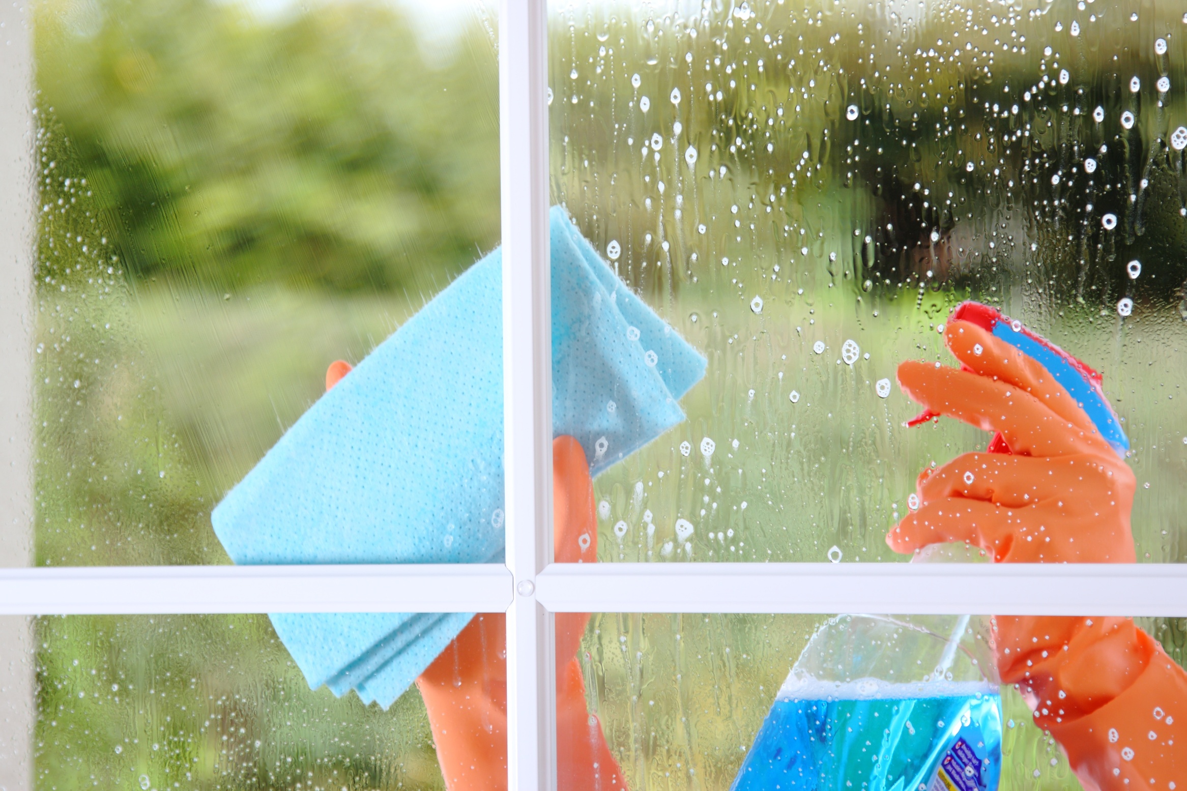 Fensterputzen - Die besten Tipps um Fett abzubauen